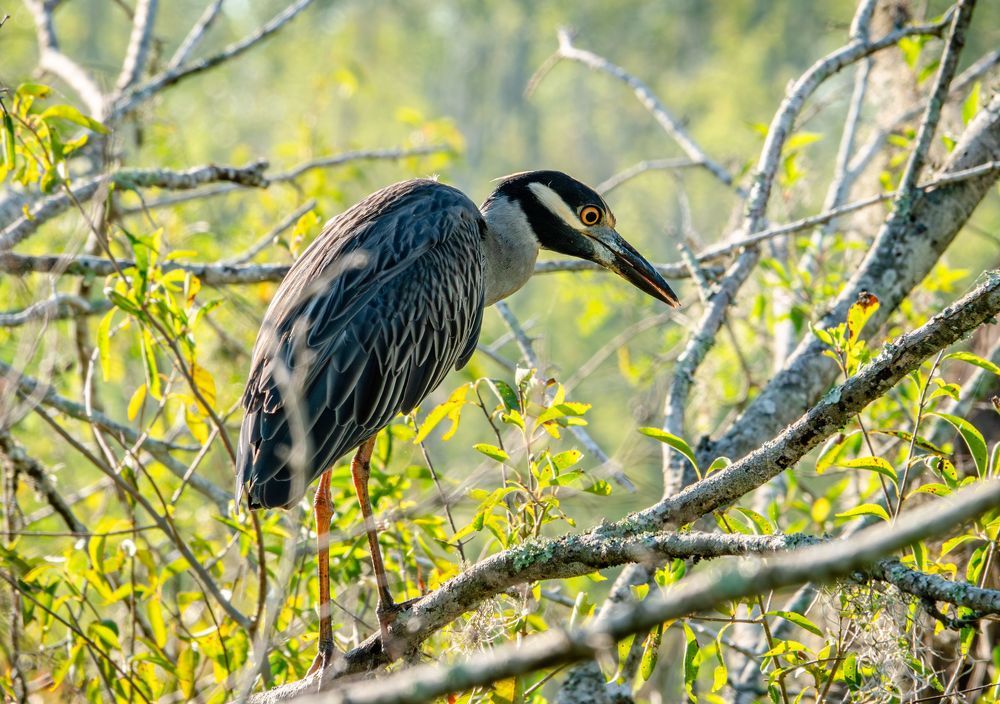 Photograph by Анатолий Костерев
