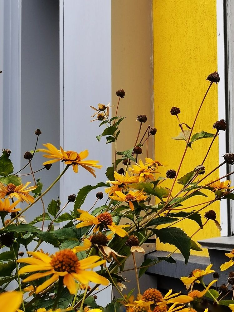 Фотография автора Екатерина Першина