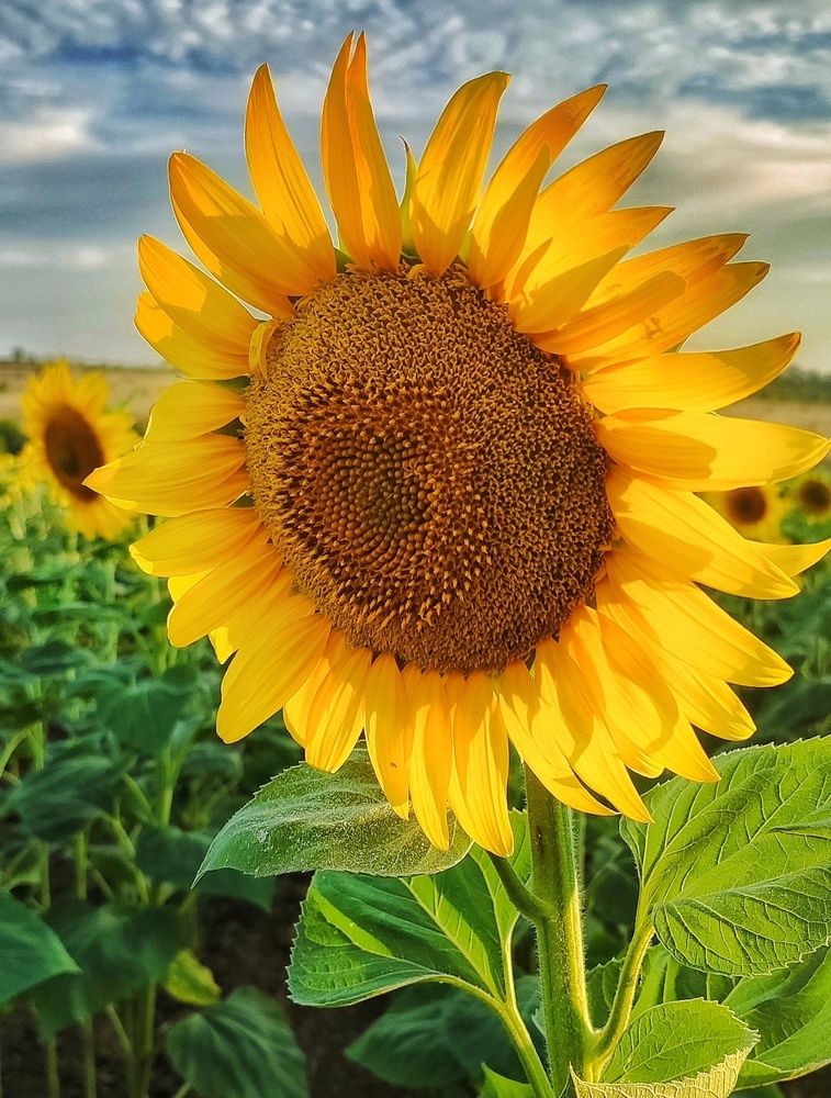 Photograph by Наталья Исиченко