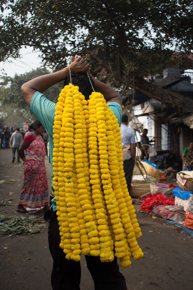 Фотография автора Dipayan Debbarma