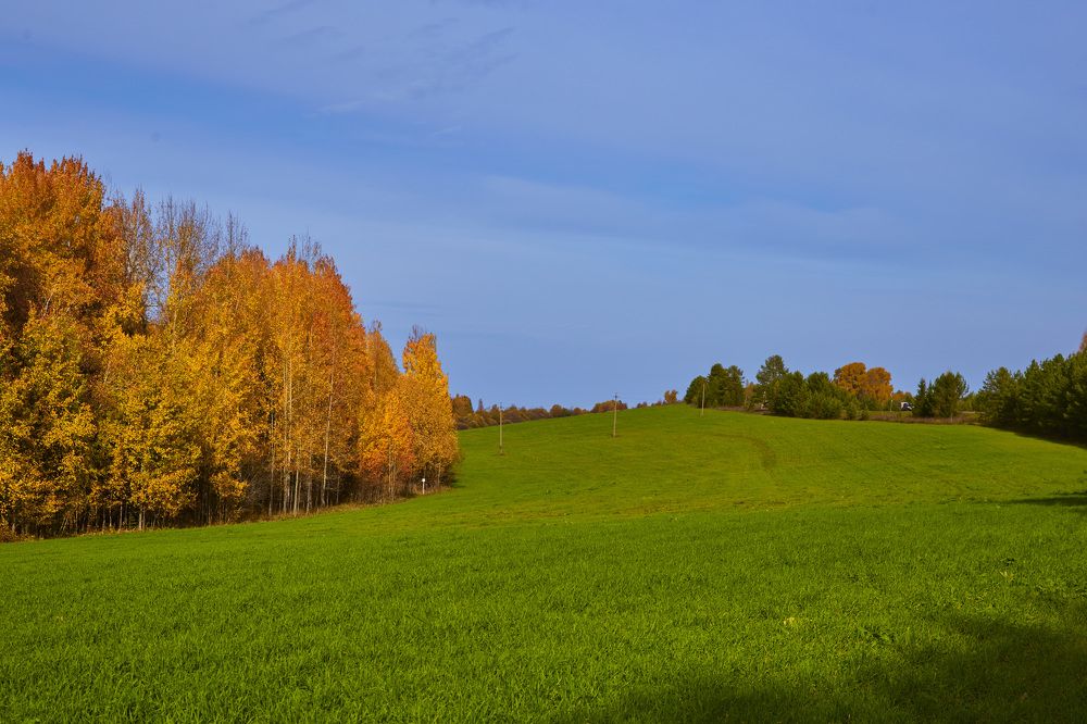 Photograph by Дмитрий Пасынков