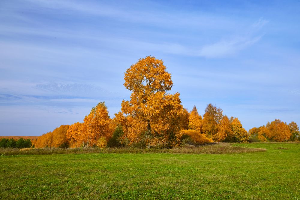 Photograph by Дмитрий Пасынков