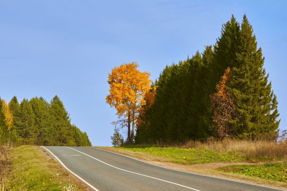 Photograph by Дмитрий Пасынков