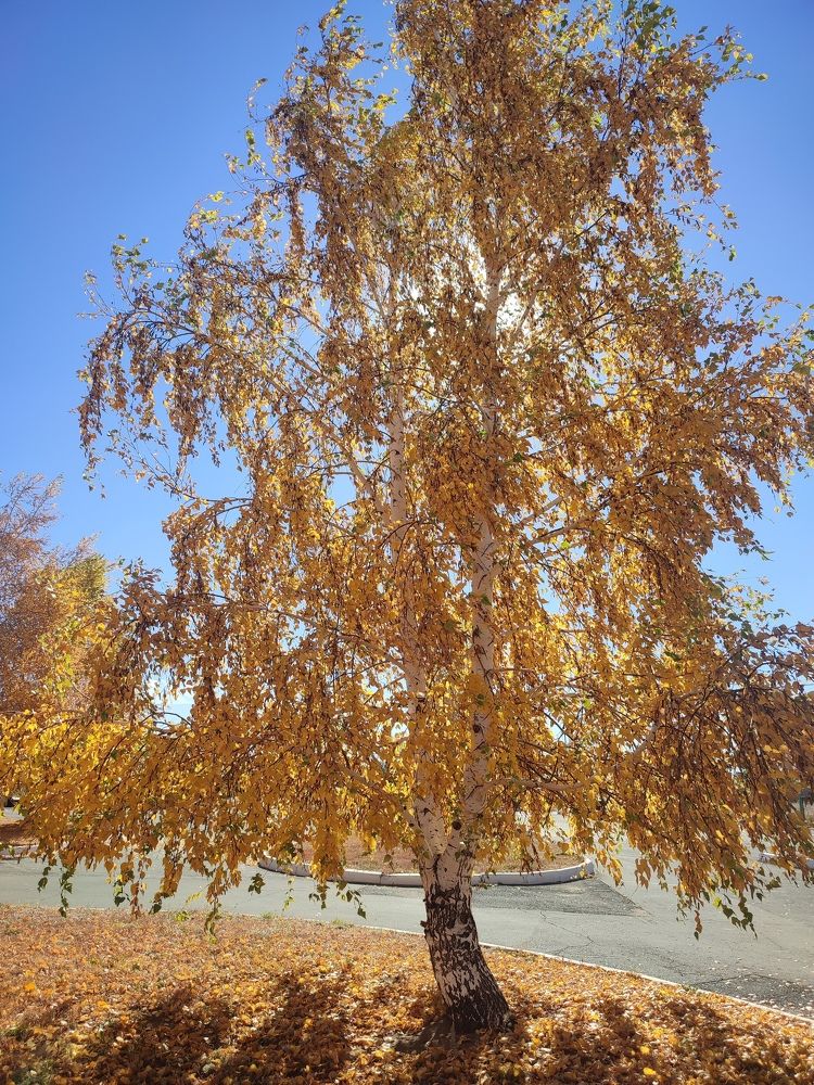 Photograph by Кристина Медведюк