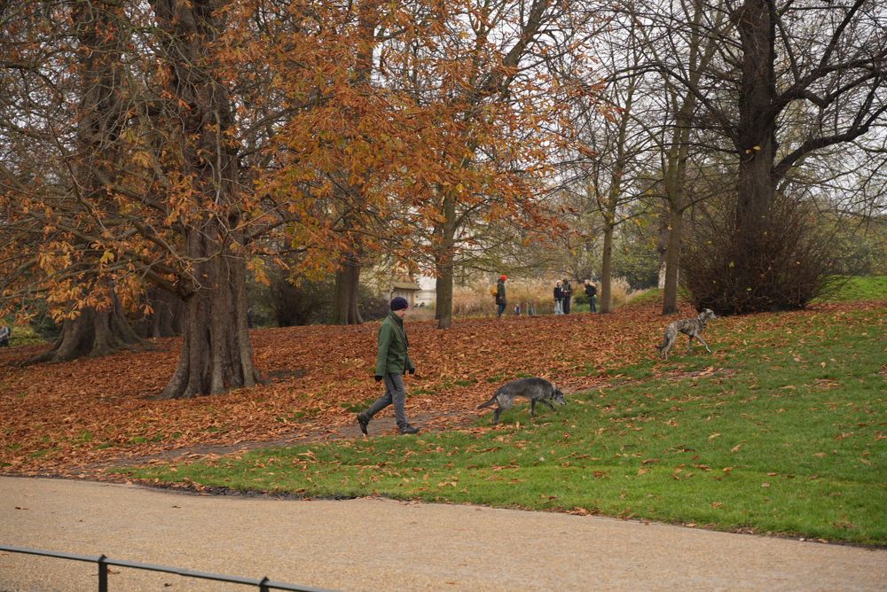 Фотография автора OVIDIU-IOAN TICU