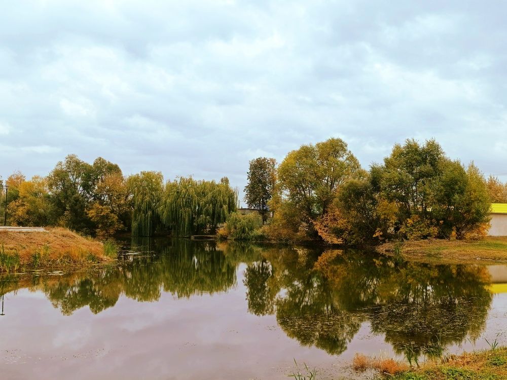 Photograph by Людмила Прибылова