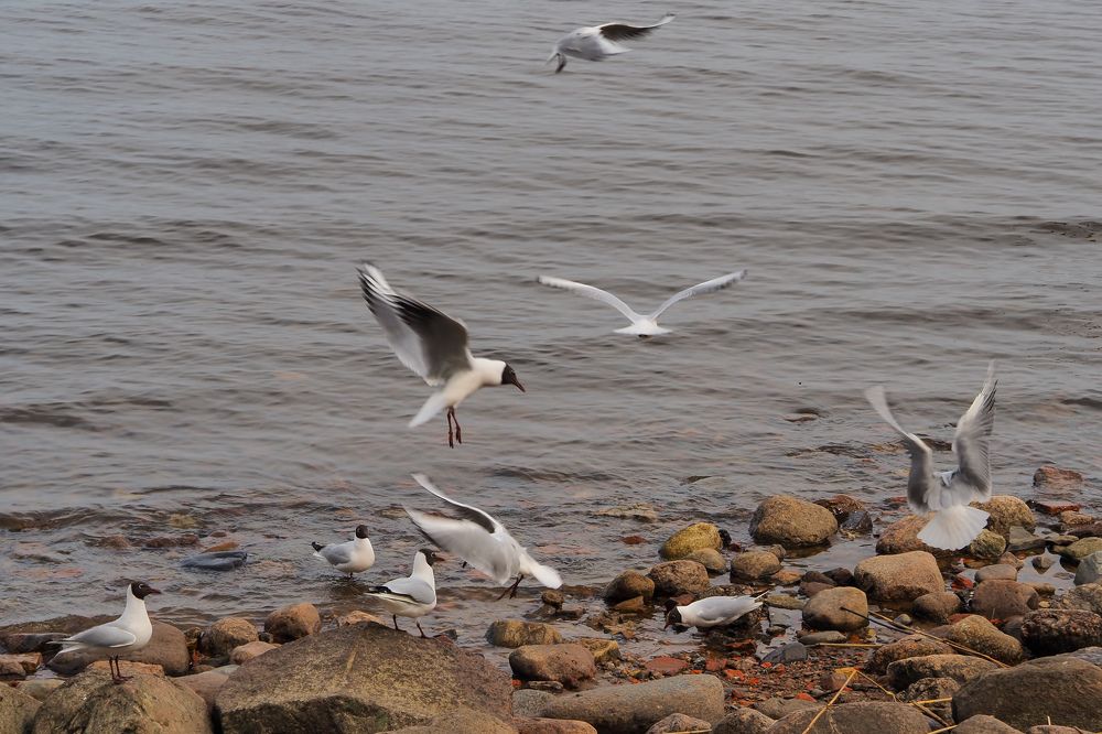 Photograph by Наталия Трофимова