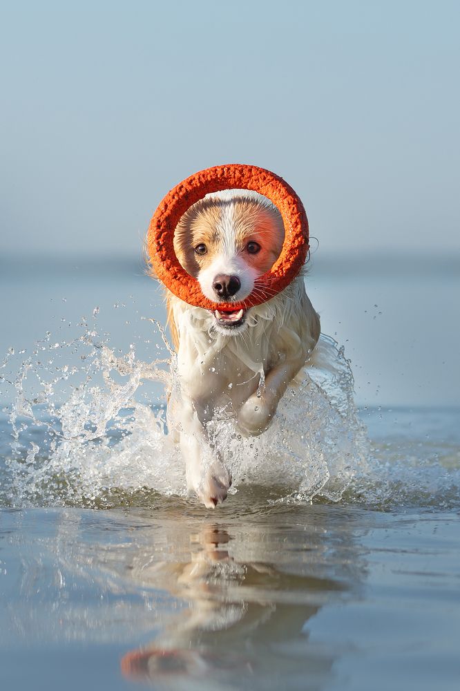 Photograph by Ольга Легенькая