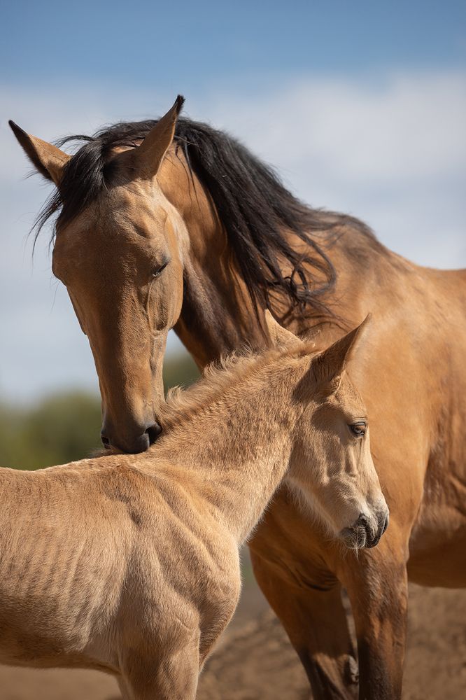 Photograph by Ольга Легенькая