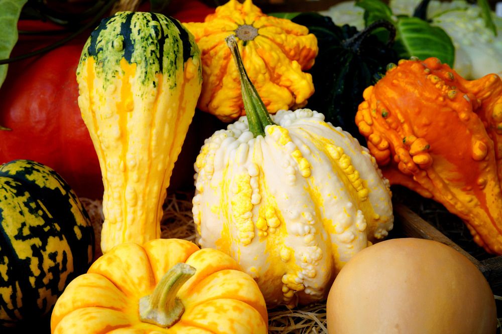 Фотография автора Lukin Igor