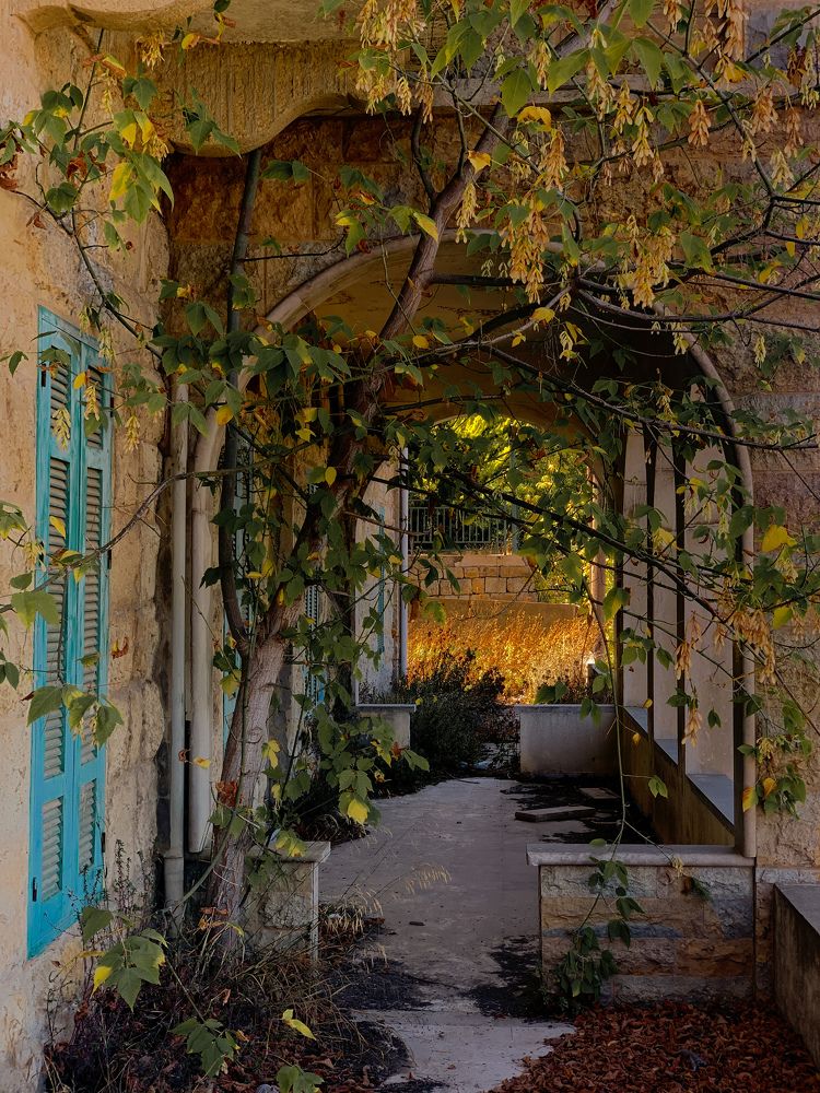 Photograph by Kate Abi Faraj