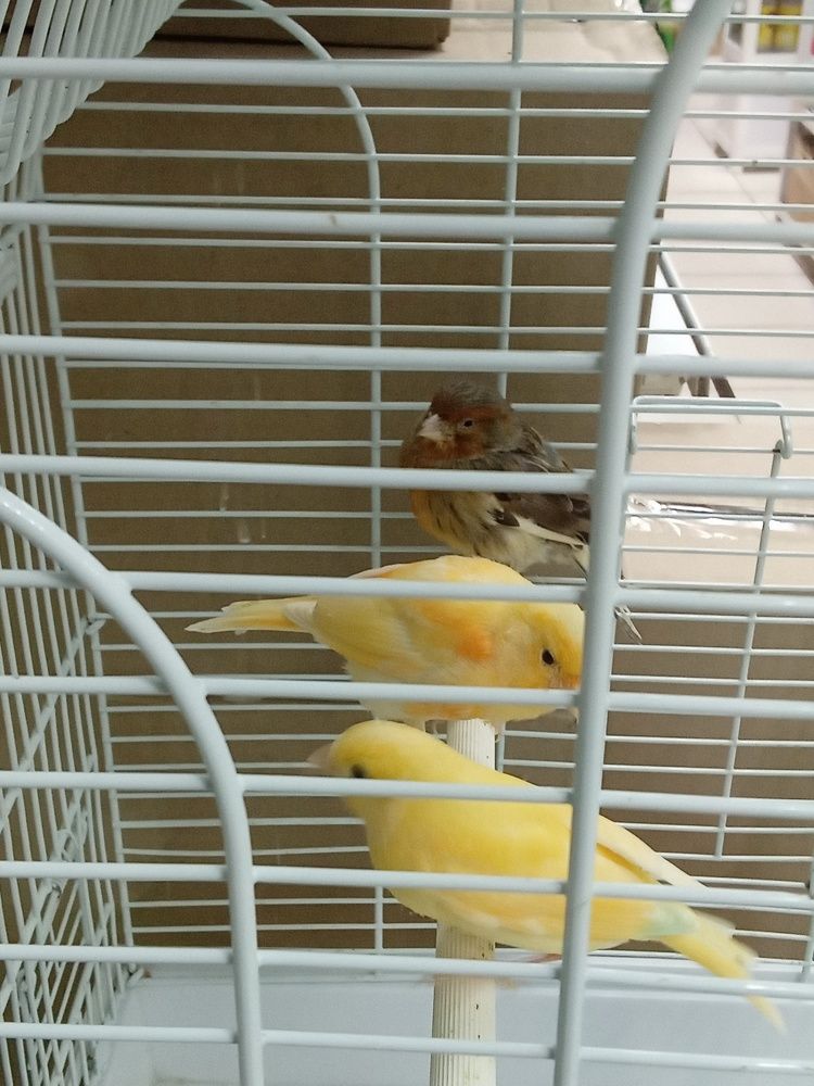 Photo #11143627