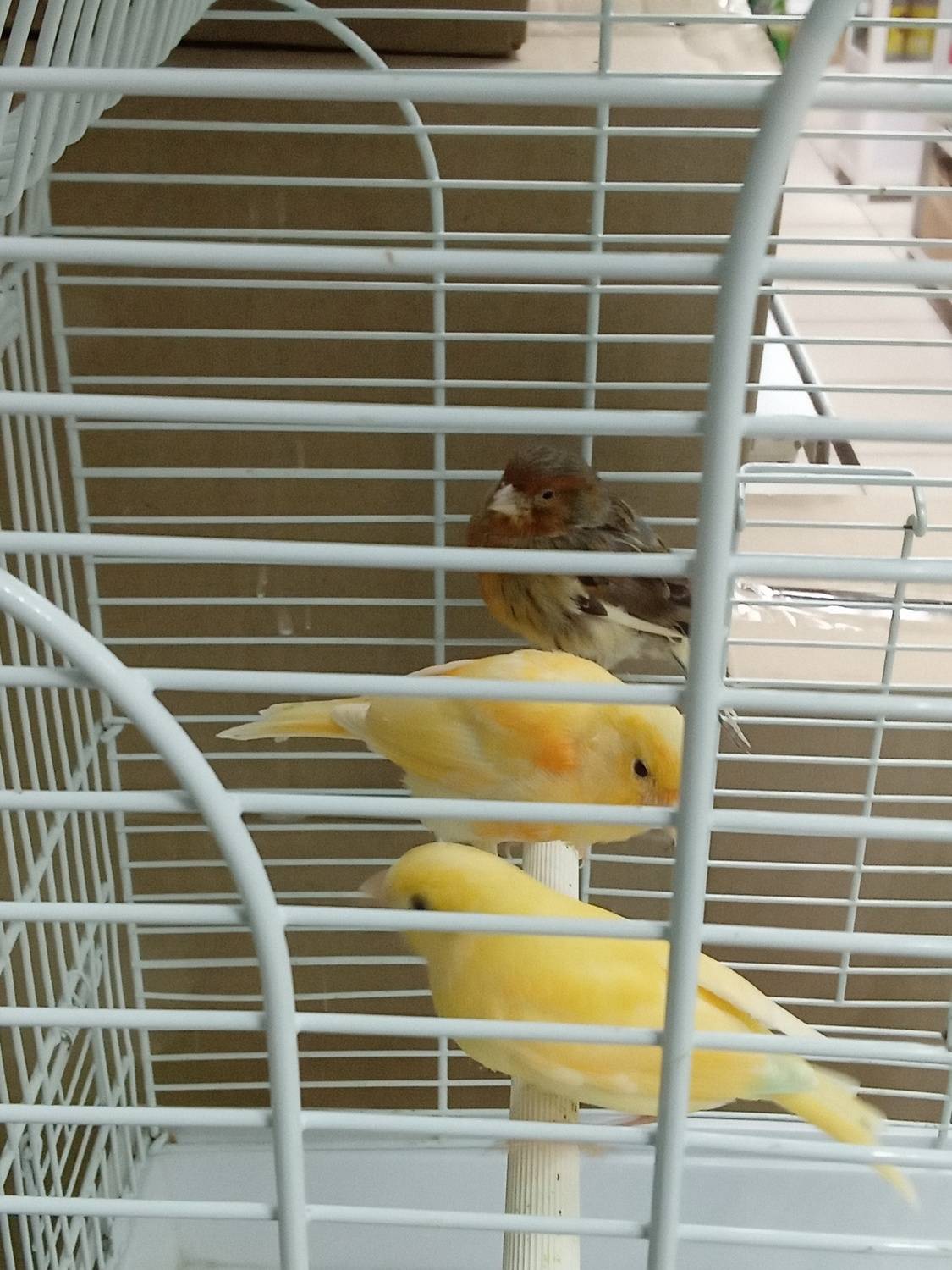 Photo #11143627