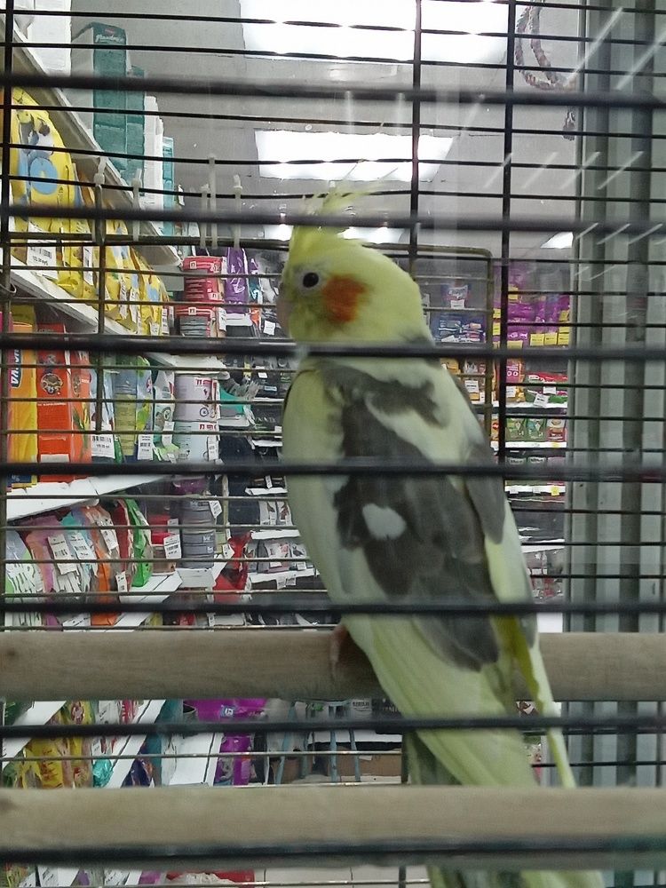 Photo #11143628