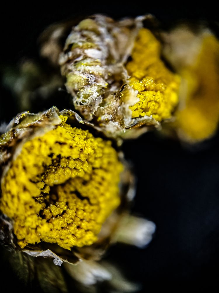 Photograph by Natalia Sopoćko