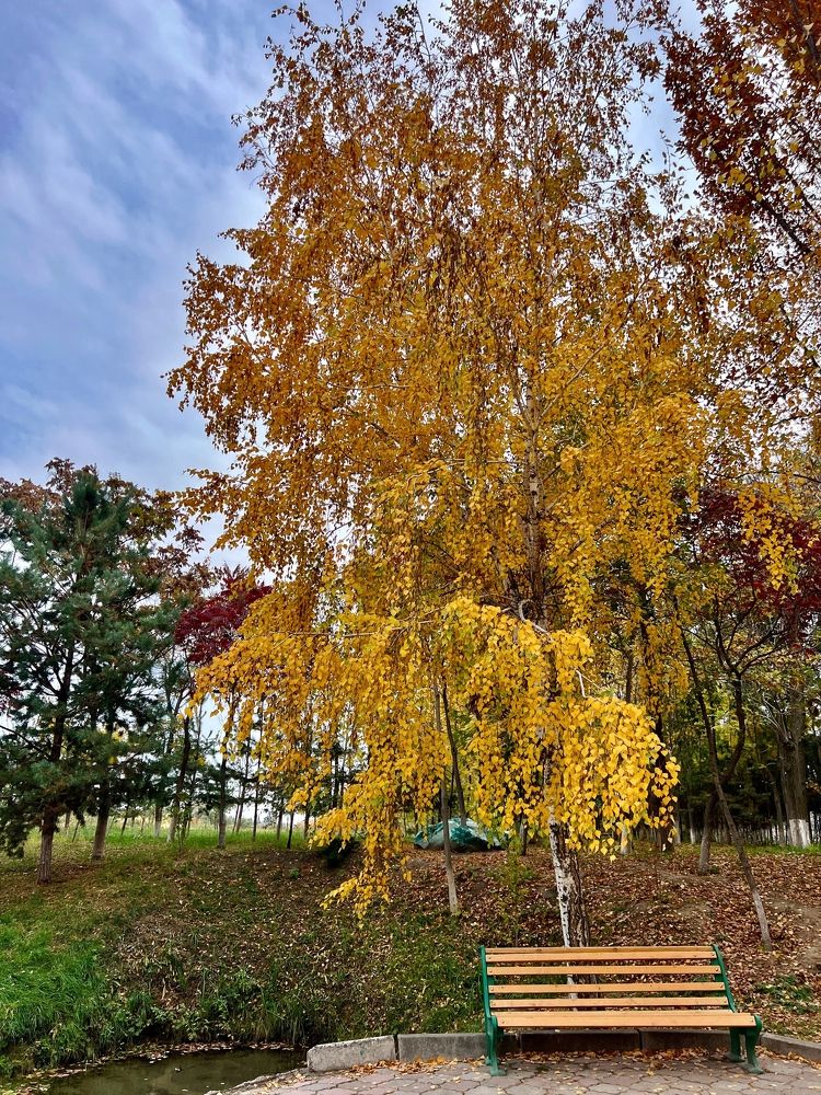 Photograph by Дмитрий Балеевских