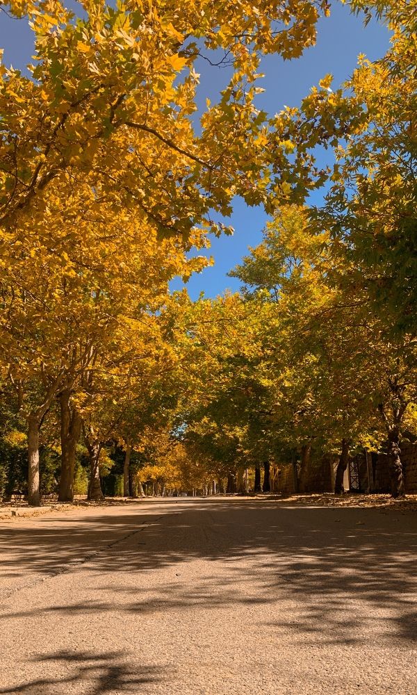 Photograph by Kate Abi Faraj