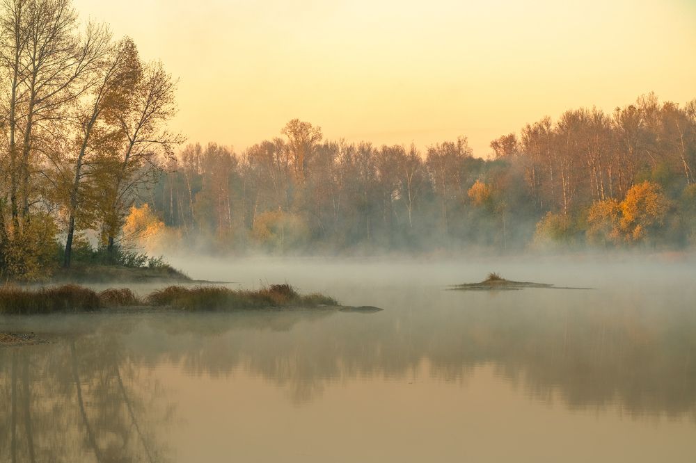 Photograph by Константин Белоногов