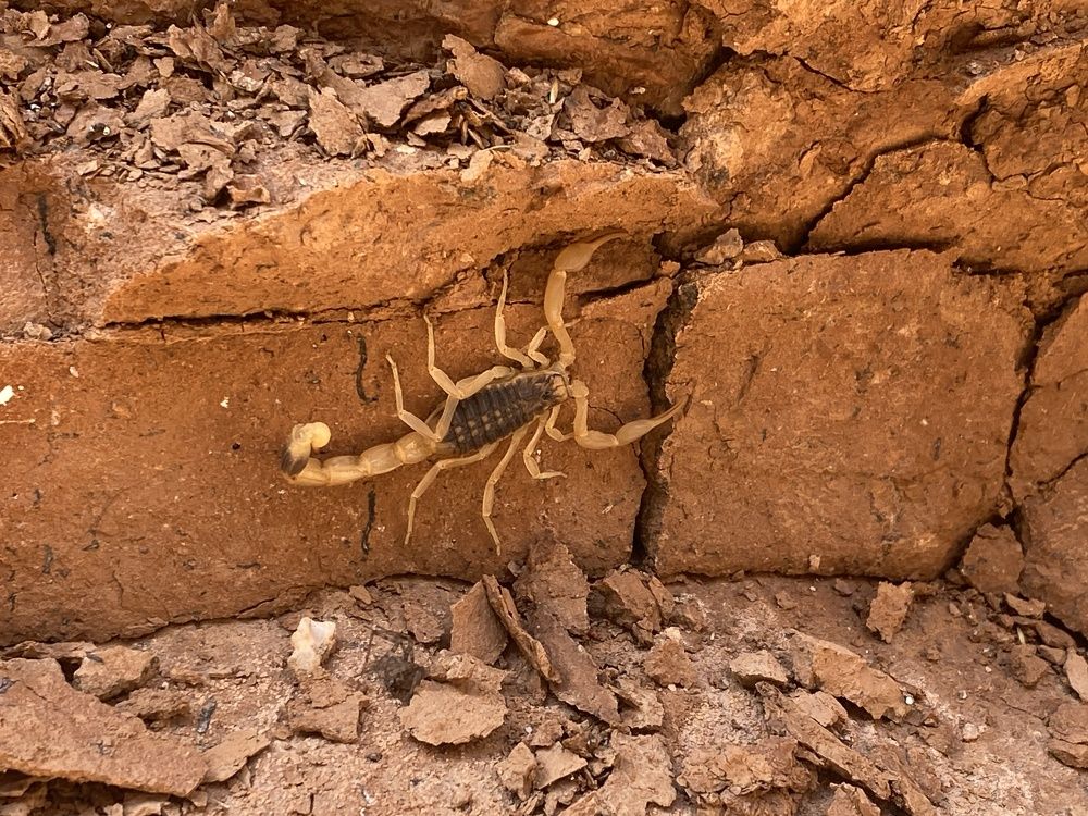 Photograph by Дмитрий Балеевских