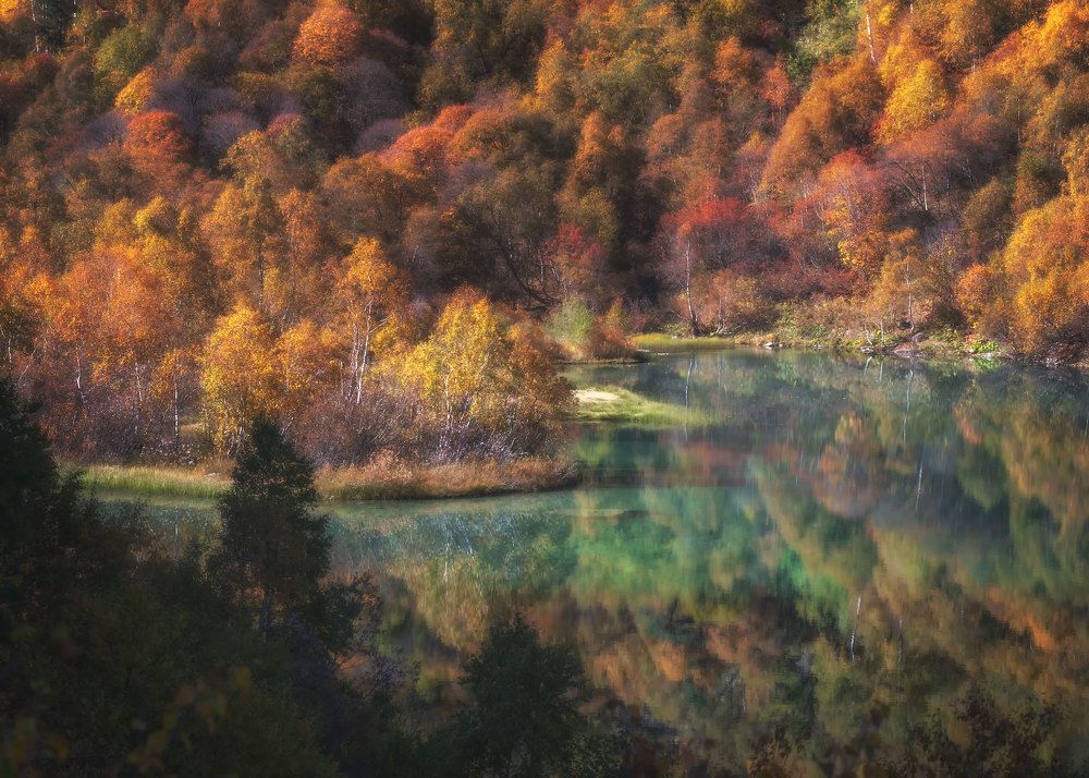 Photograph by Кахарова Наргиза