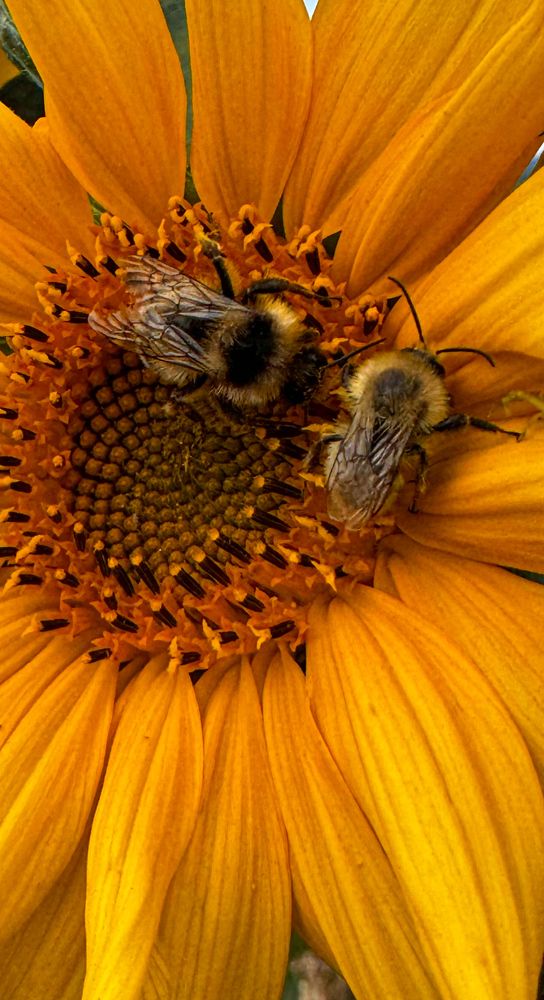 Photograph by Аверьянова Наталья