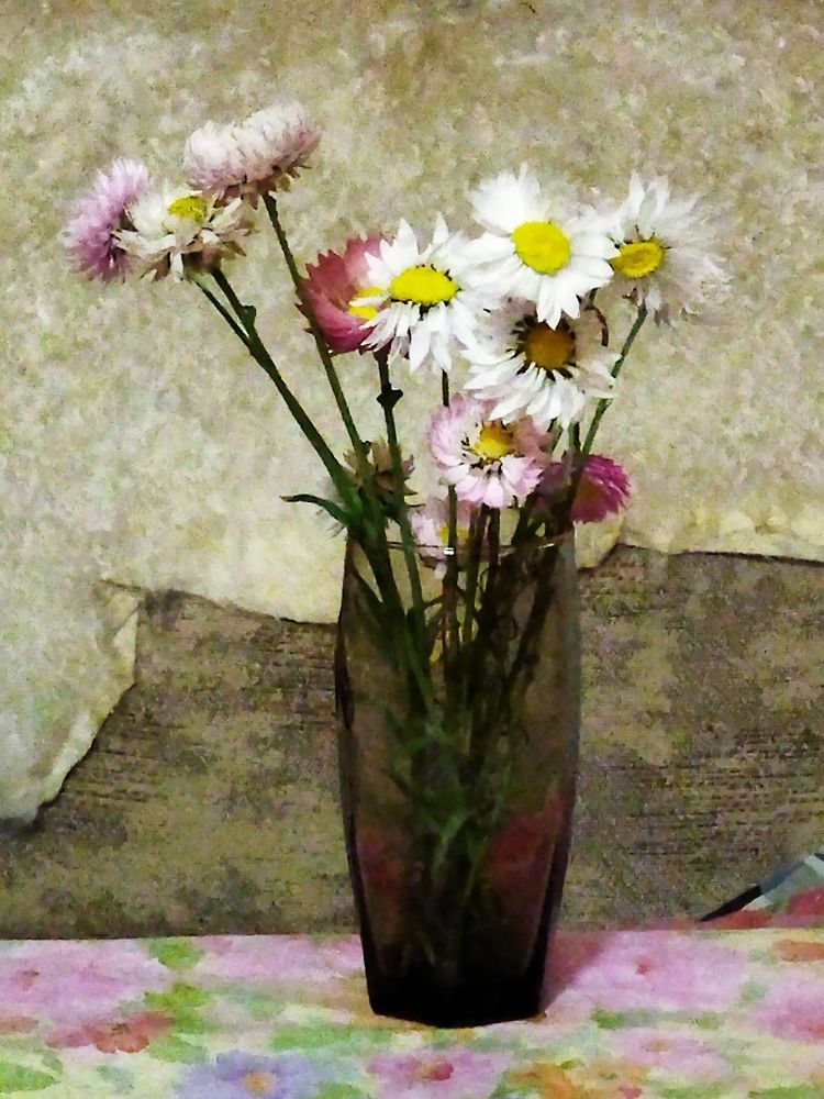 Фотография автора  OKazik