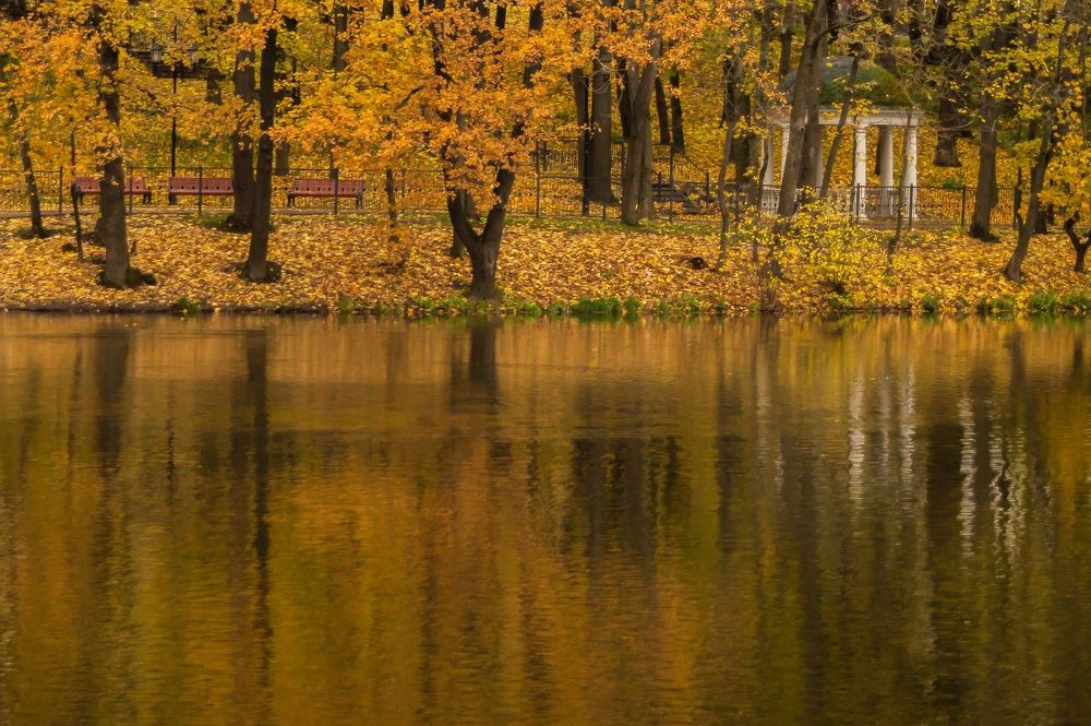Photograph by Фомочкин Алексей