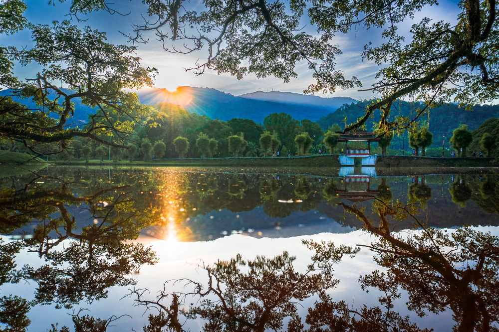 The Green Beauty of Taiping Lake Park, Perak, Malaysia