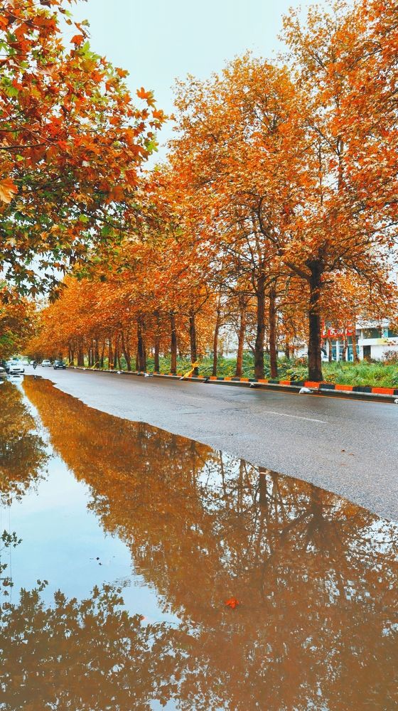 Photograph by Amir Hosein Shokrabadi