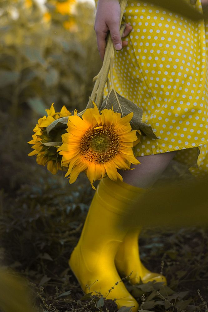 Photograph by Татьяна Пахатинская