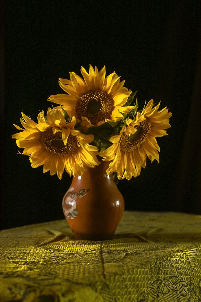 Photograph by Татьяна Пахатинская