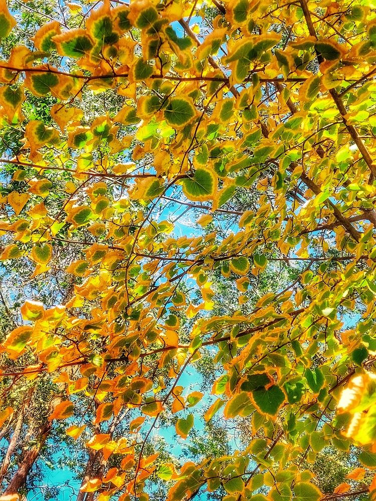 Photograph by Нина Паршина