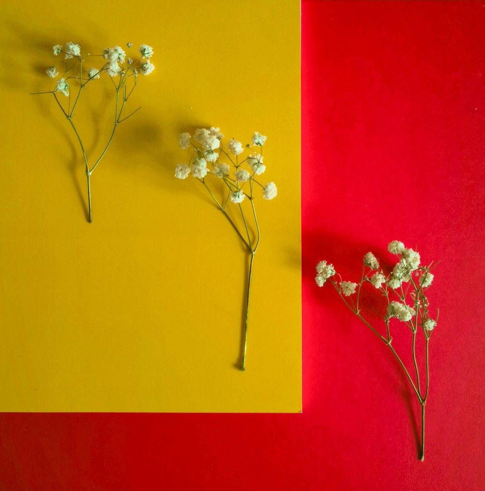 Photograph by Татьяна Яцкевич