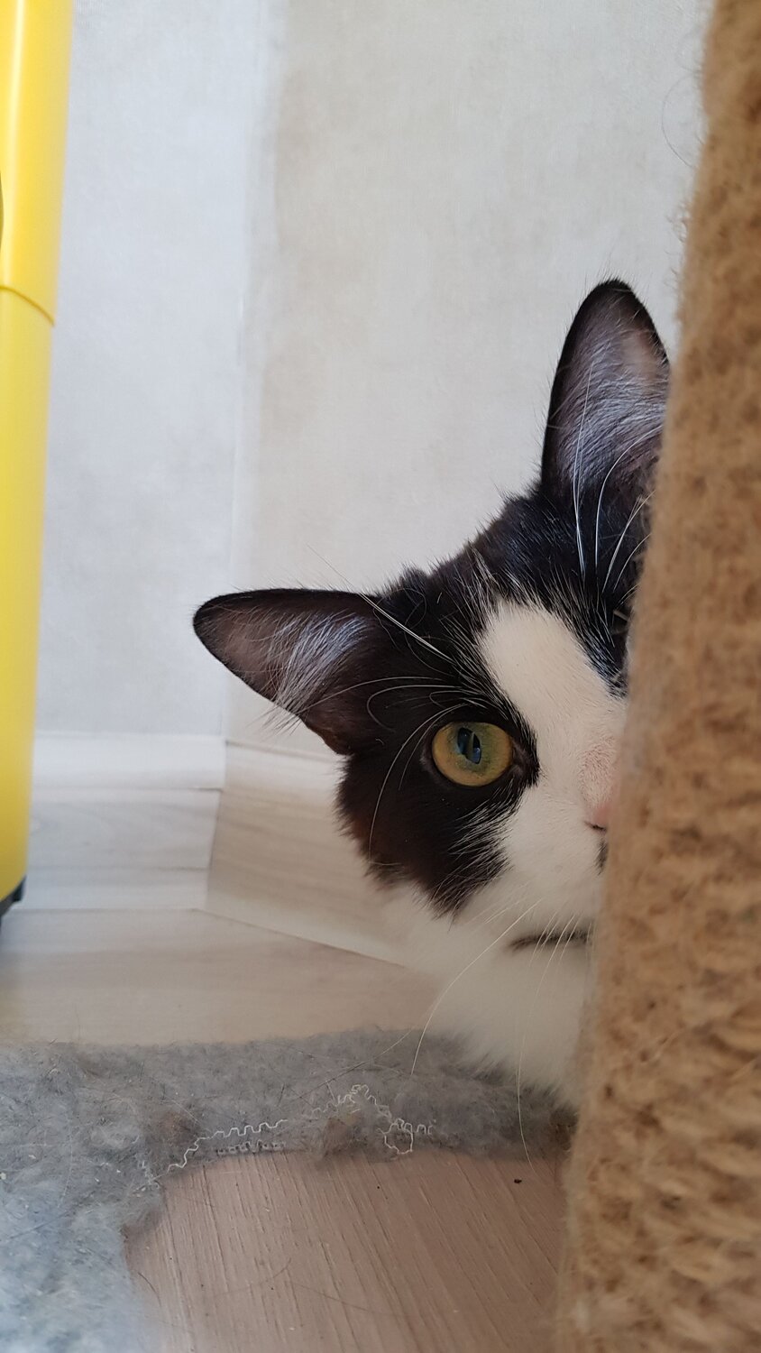 Photo #11143819