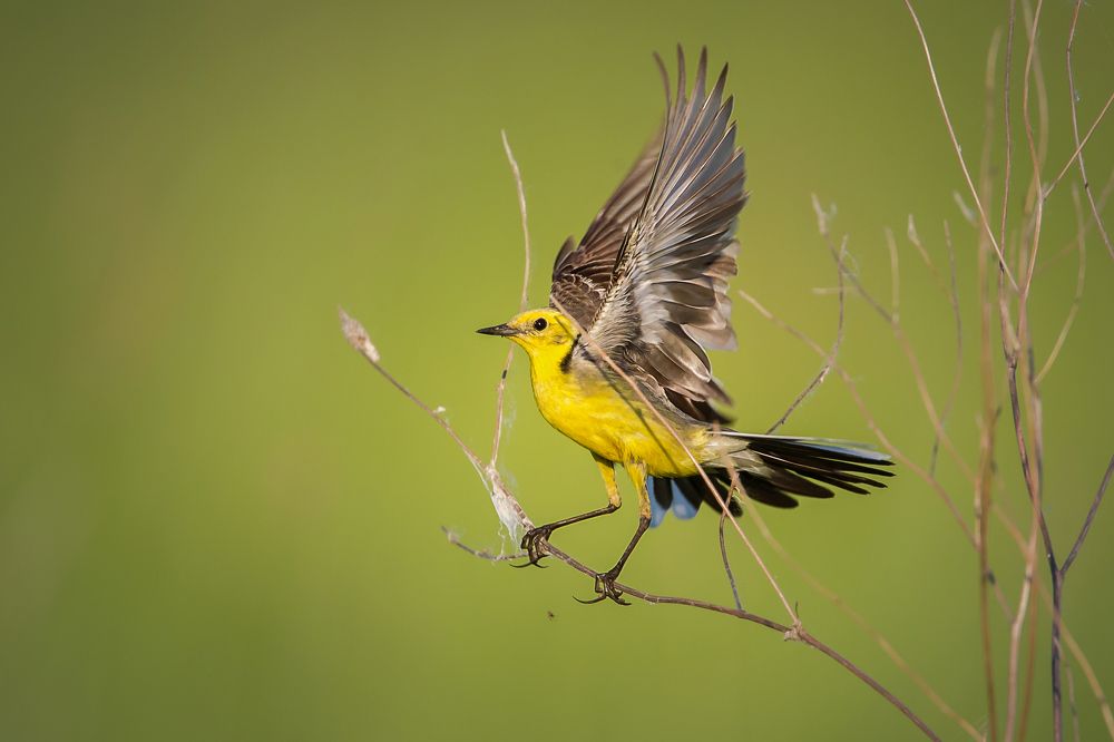 Photograph by Lozhkin Vyacheslav