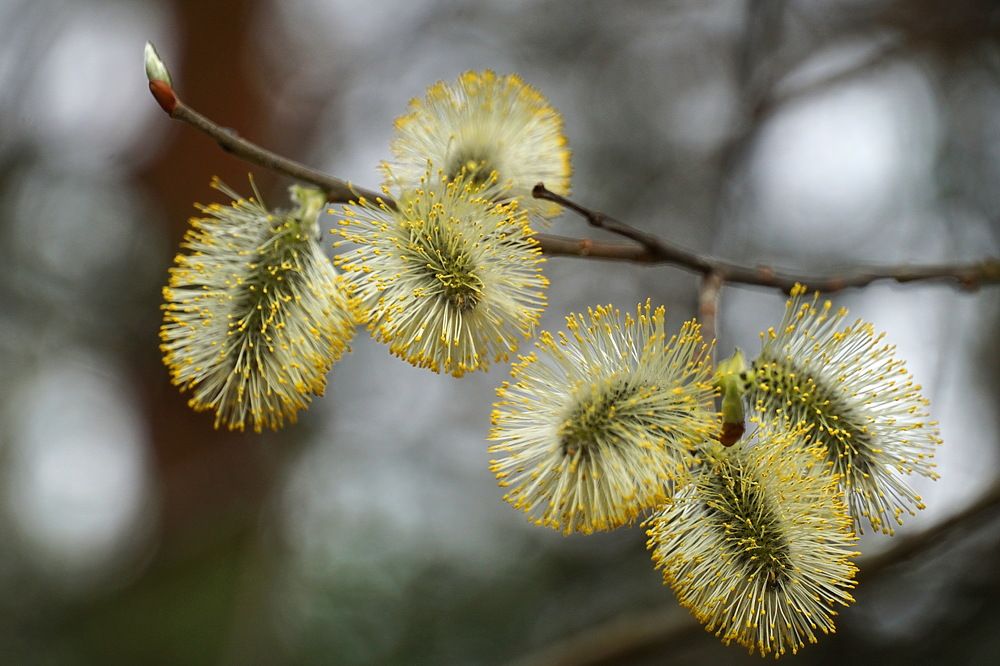 Photograph by Галина Кан