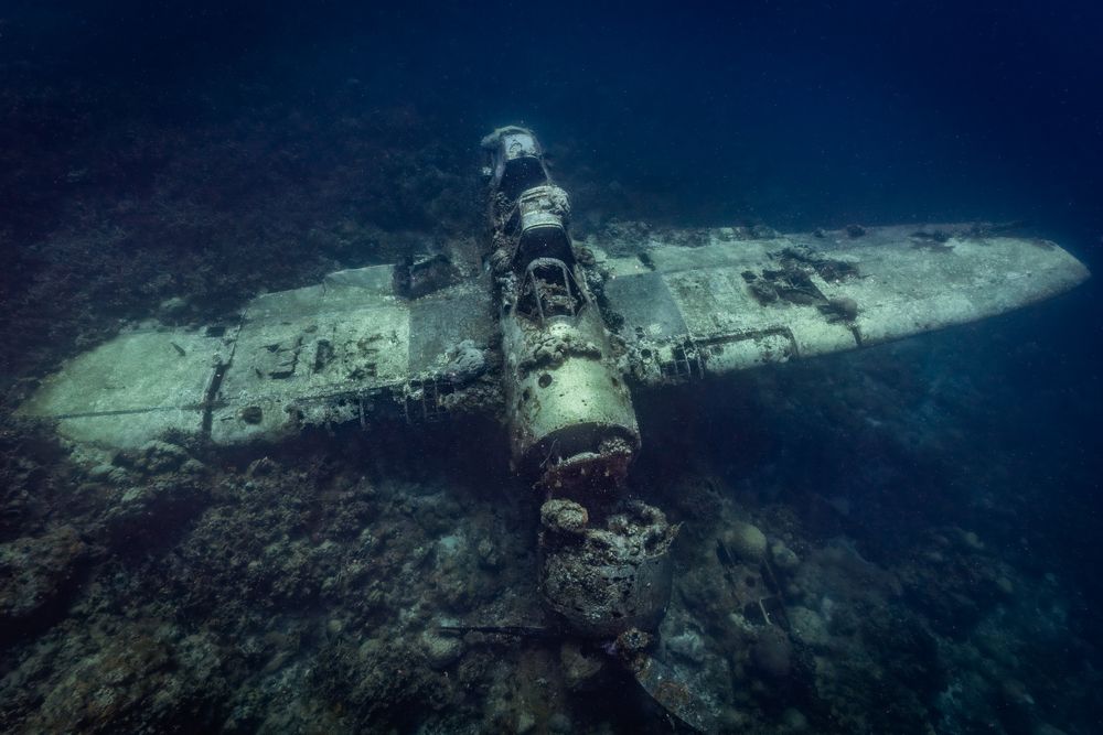 Photograph by Shinto K Anto