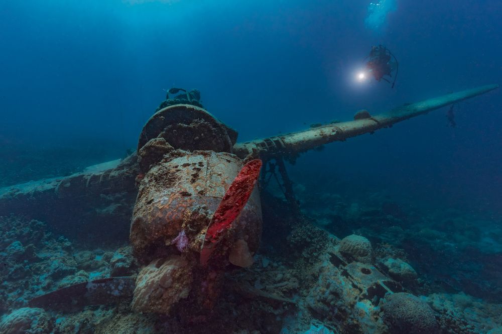 Photograph by Shinto K Anto