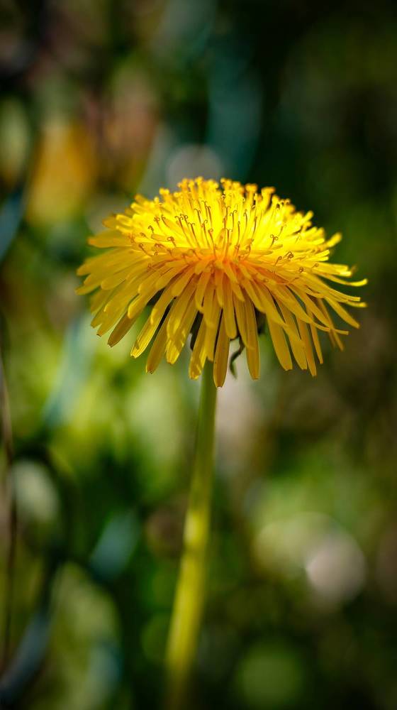 Photograph by Екатерина Слепнева