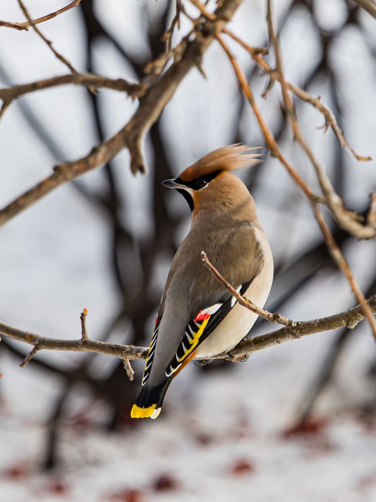 Photograph by Максим Фролов