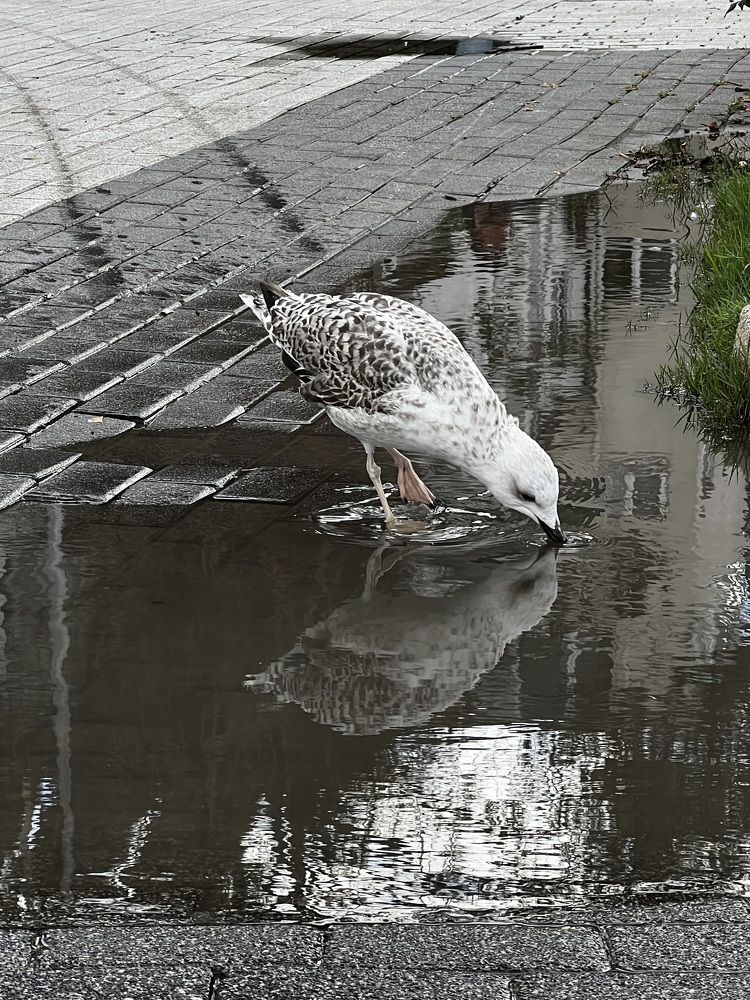 Photograph by Елена Егорова