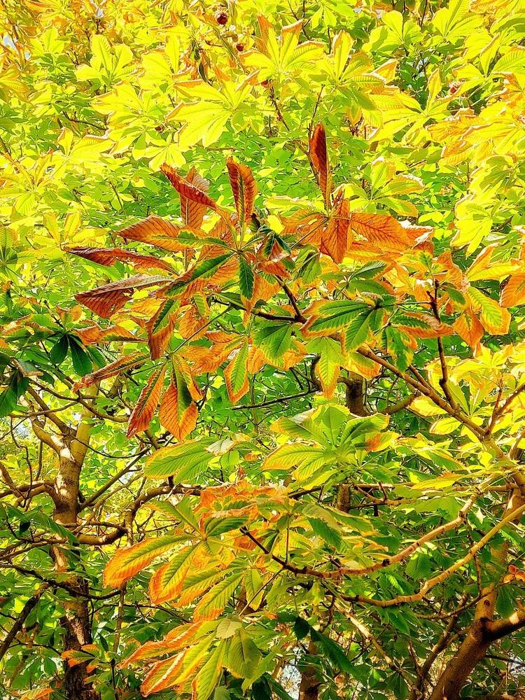 Photograph by Нина Паршина