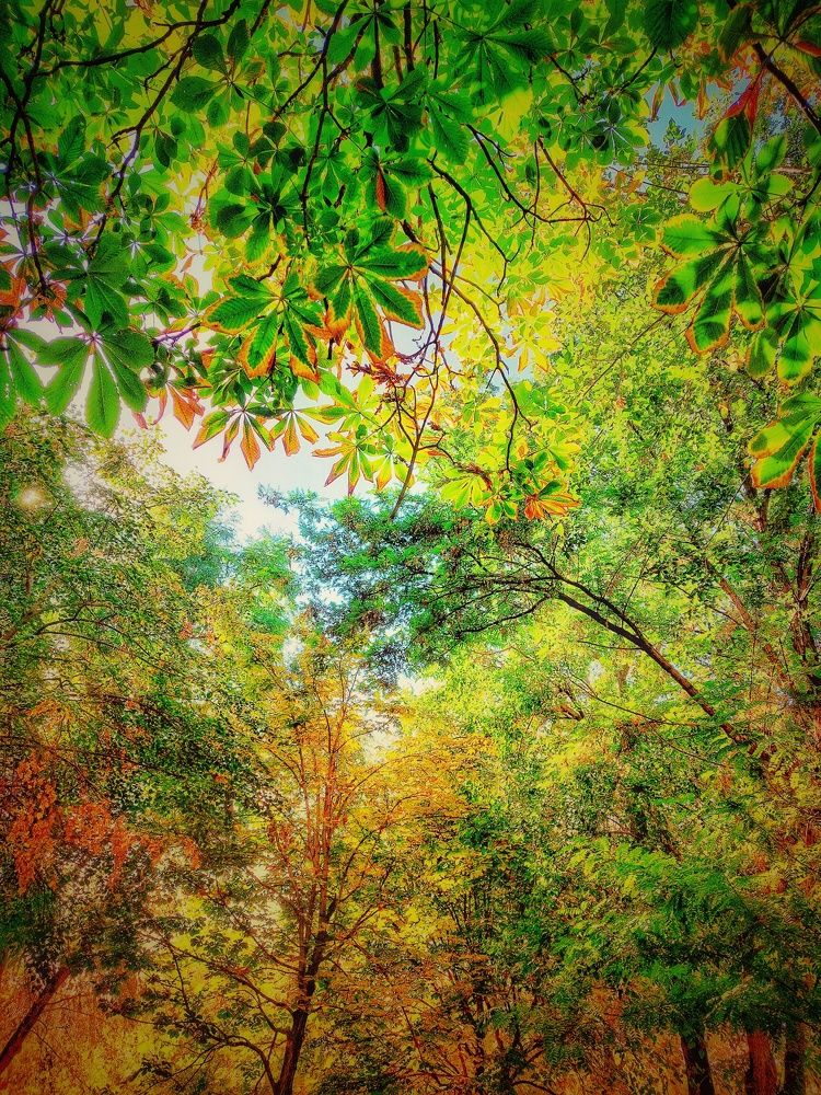 Photograph by Нина Паршина