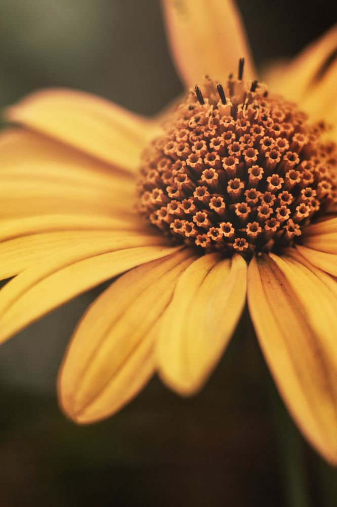 Photograph by Евгения Кинжакова