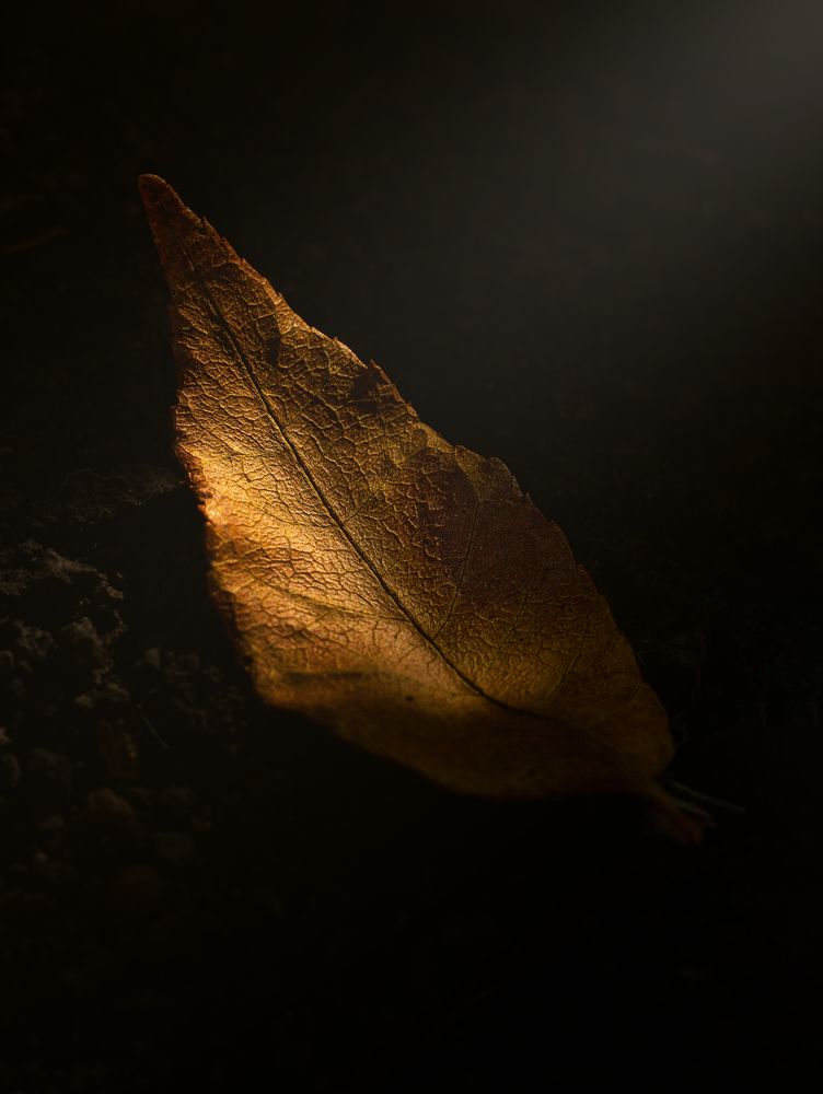 Photograph by Евгения Кинжакова