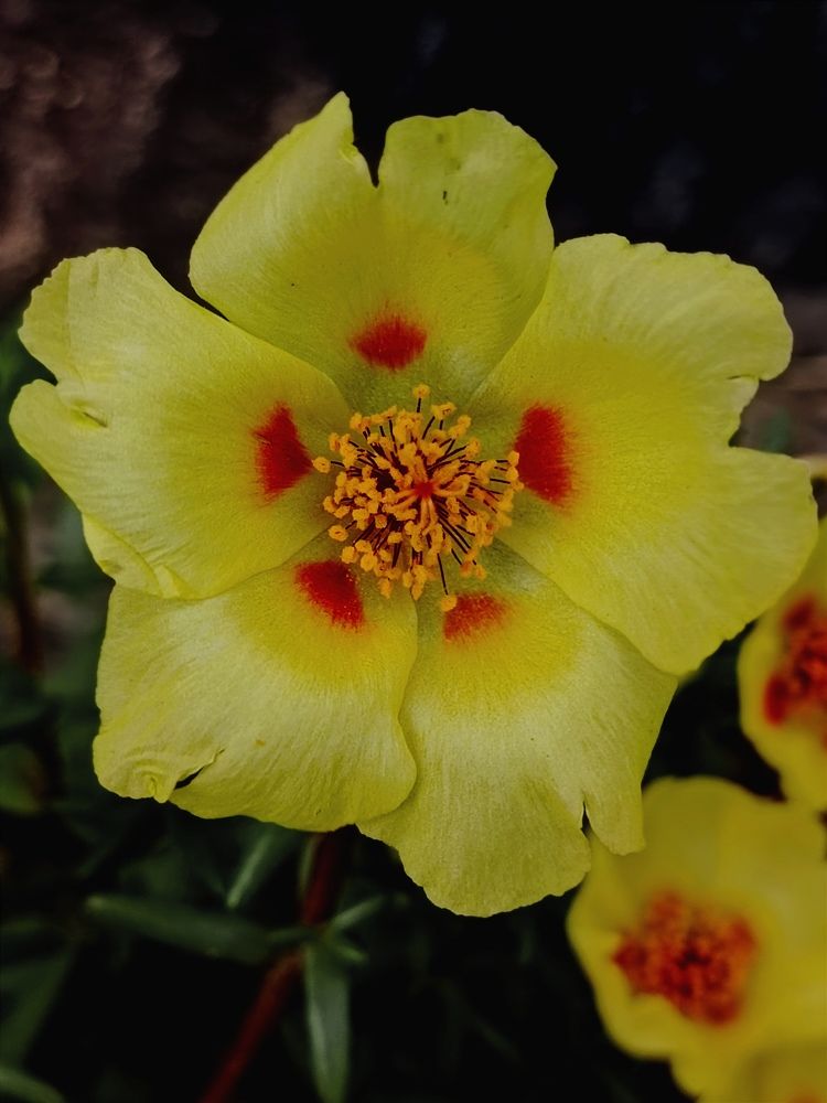 Photograph by Елена Пархоменко