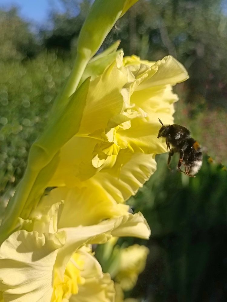 Photograph by Елена Пархоменко