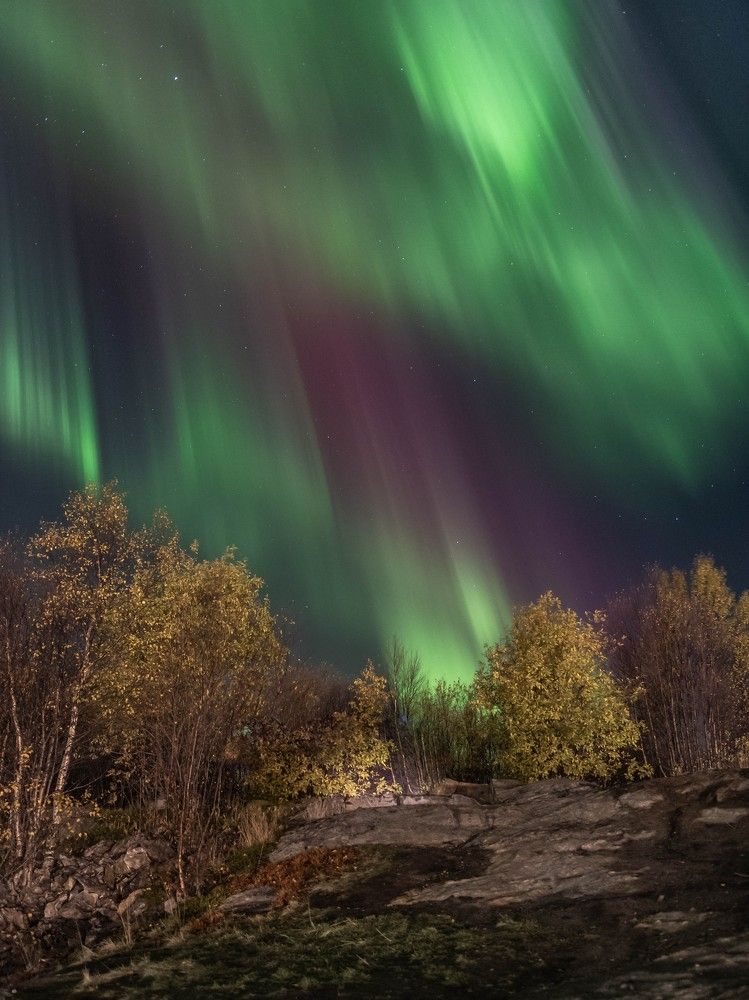 Яркая осень