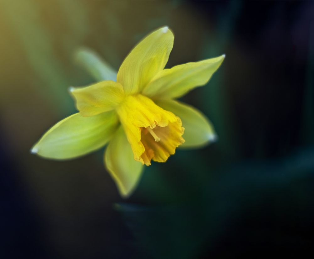 Photograph by Евгения Кинжакова