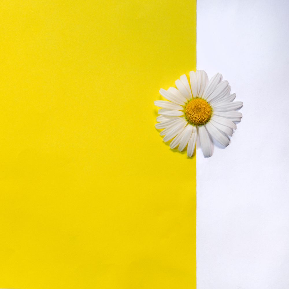 Фотография автора Людмила Прокофьева